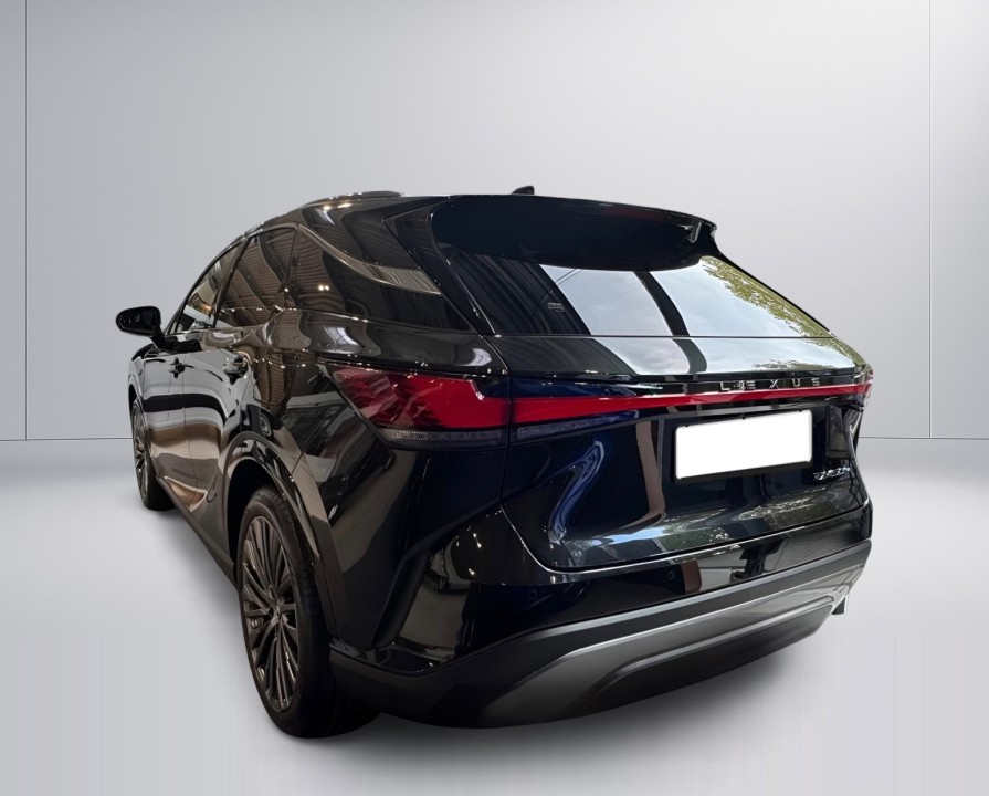 Lexus Seria RX 450h+ Luxury (4)
