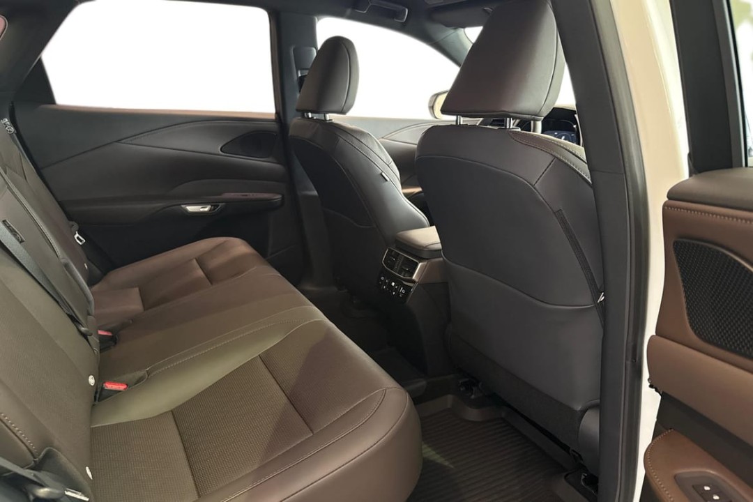 Lexus Seria RX 450h+ AWD F Sport Design - foto 19