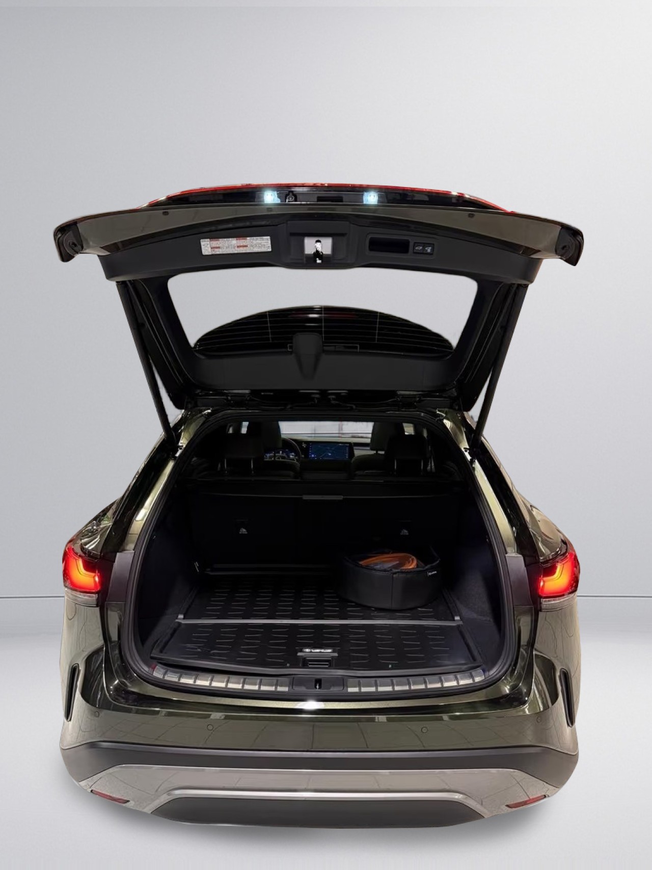 Lexus Seria RX 450h+ Luxury - foto 19