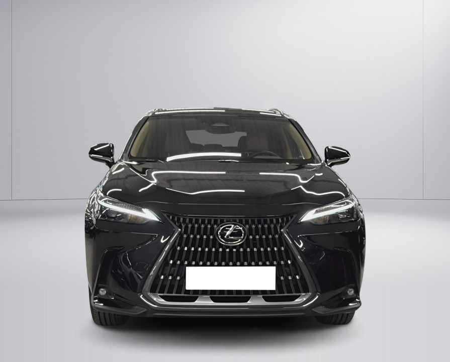LEXUS NX 2025 — imagine 18