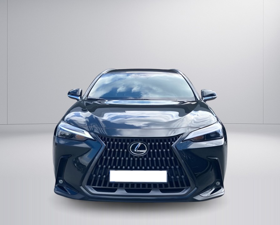 LEXUS NX 2025 — imagine 18