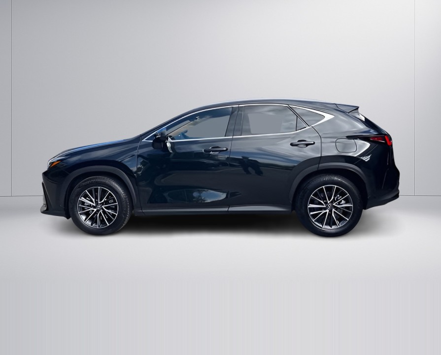LEXUS NX 2025 — imagine 16