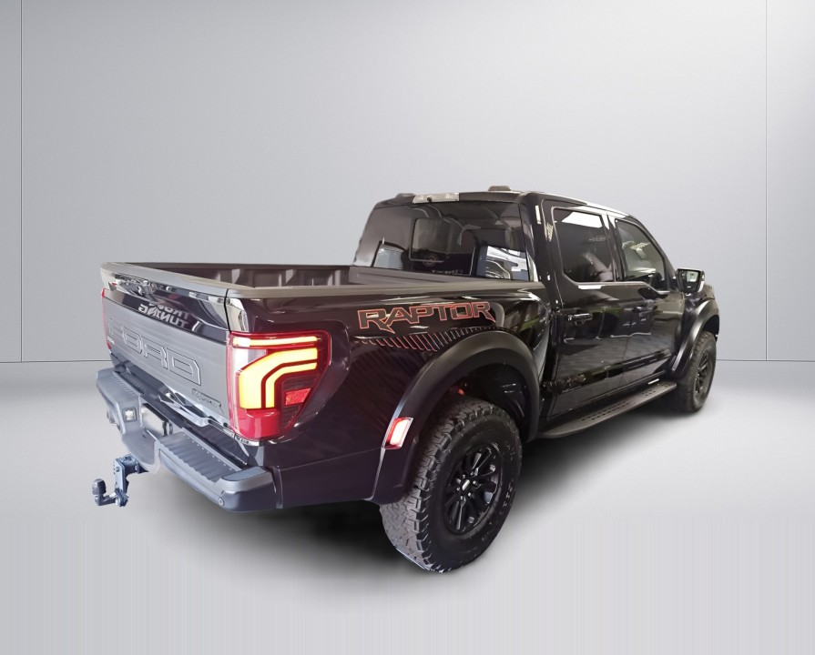 Ford F150 Raptor (3)