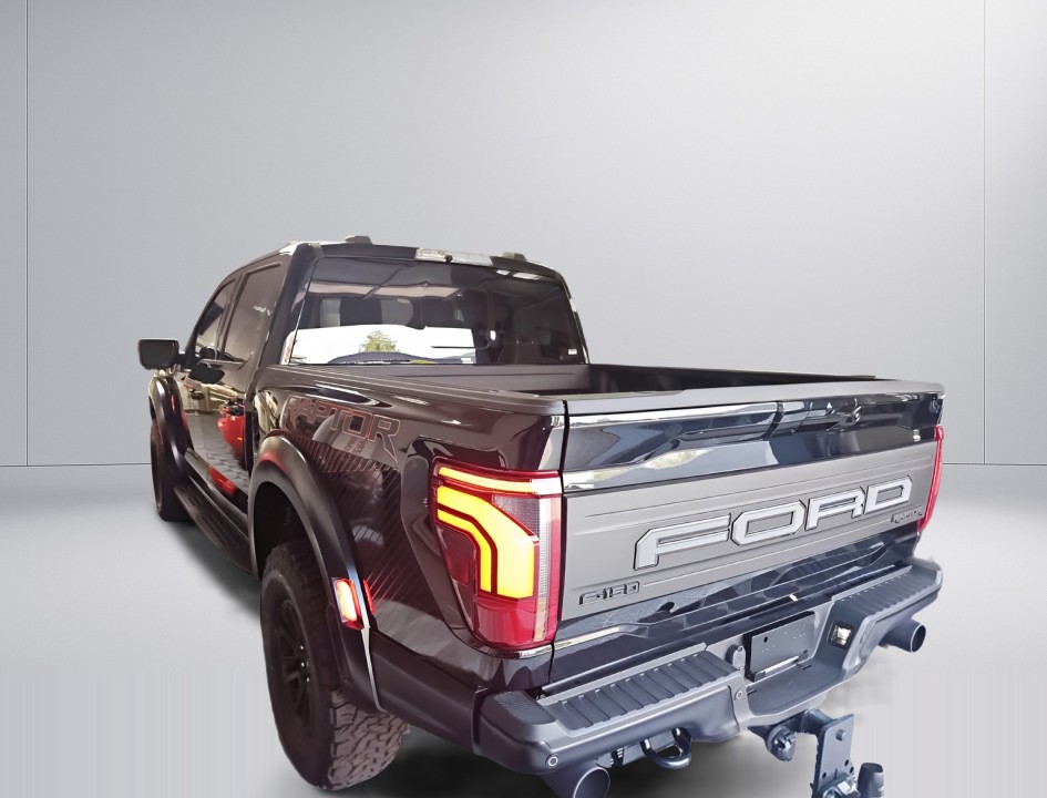 Ford F150 Raptor (5)