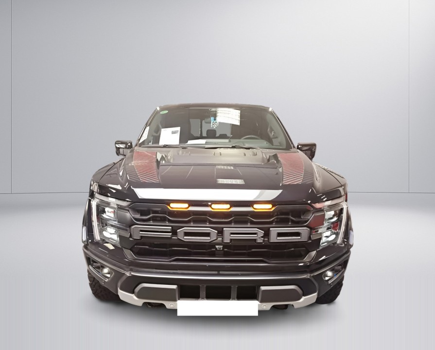 Ford F150 Raptor (2)