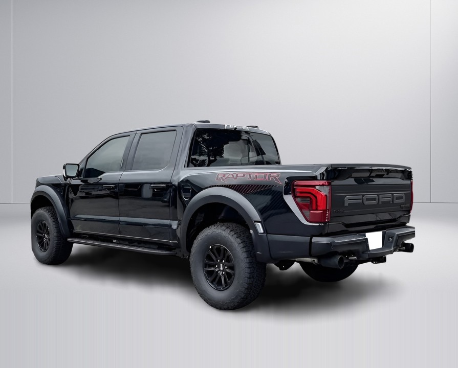Ford F150 Raptor (3)