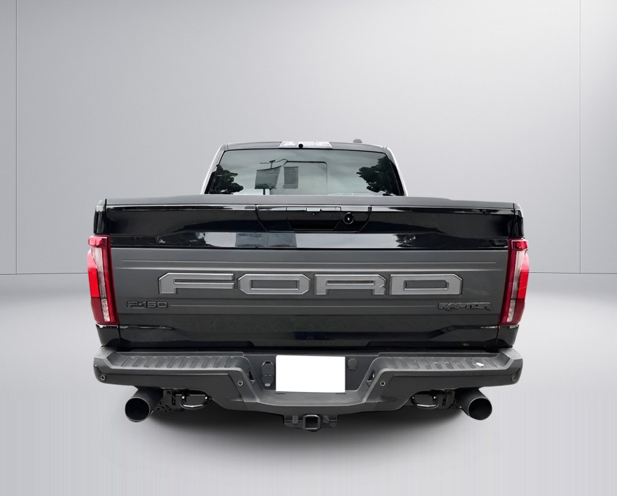Ford F150 Raptor (5)