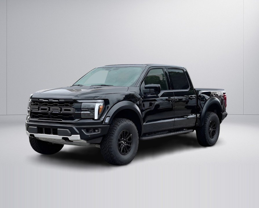 Ford F150 Raptor (4)