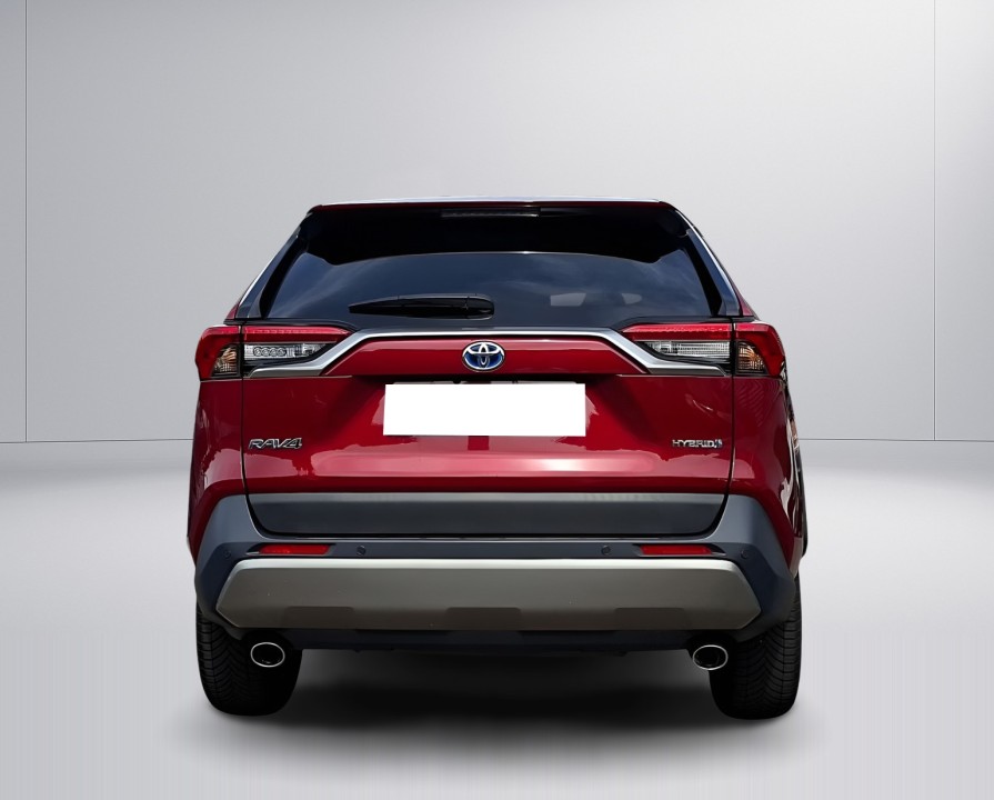 Toyota RAV4 Hybrid 4x4 Lounge (4)