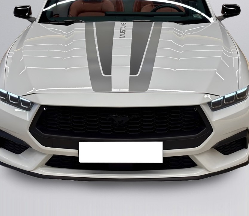 Ford Mustang Cabrio - foto 18