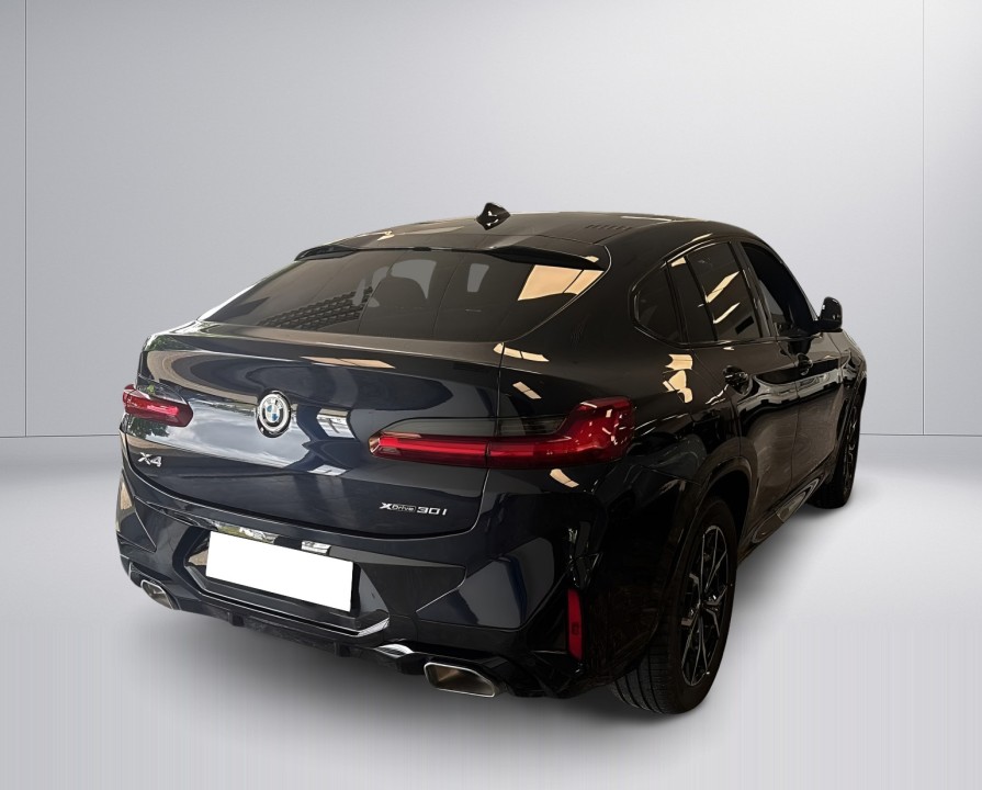 BMW X4 xDrive30i M-Sport (4)