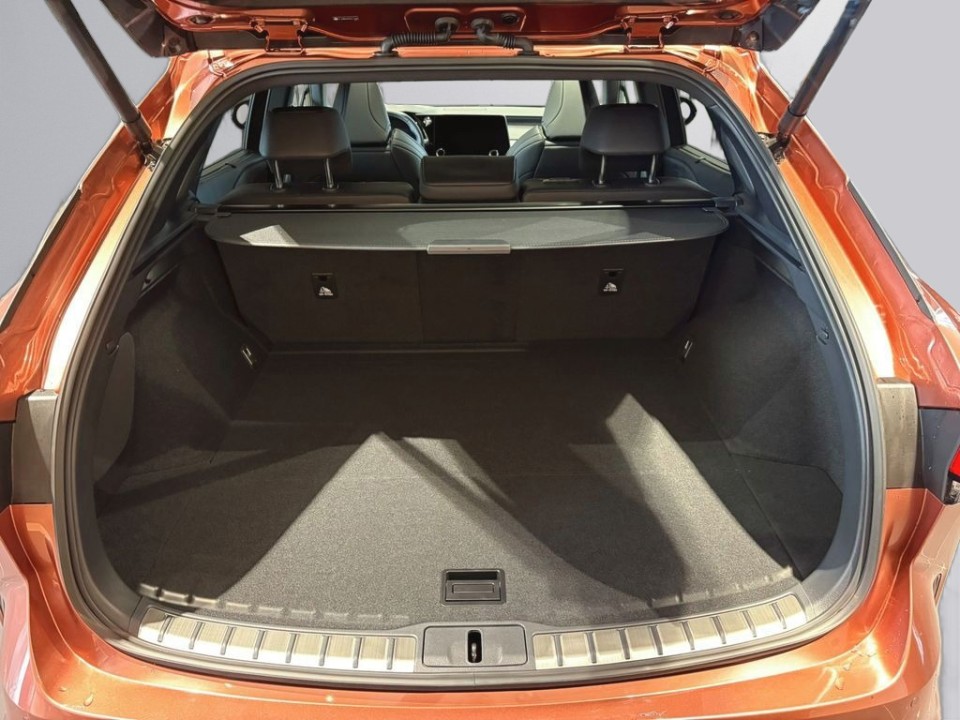Lexus Seria RX 500h AWD F-Sport - foto 14