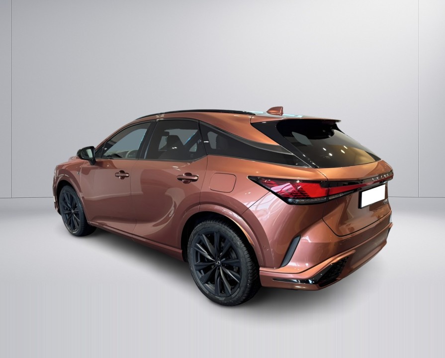 Lexus Seria RX 500h AWD F-Sport (5)