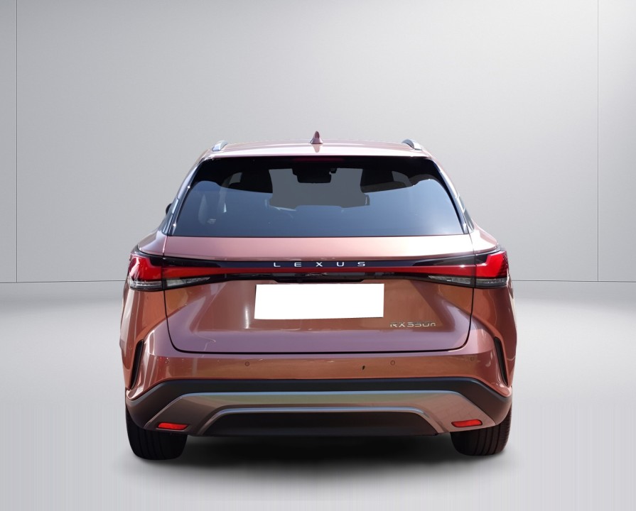 Lexus Seria RX 350h AWD Luxury Line (3)