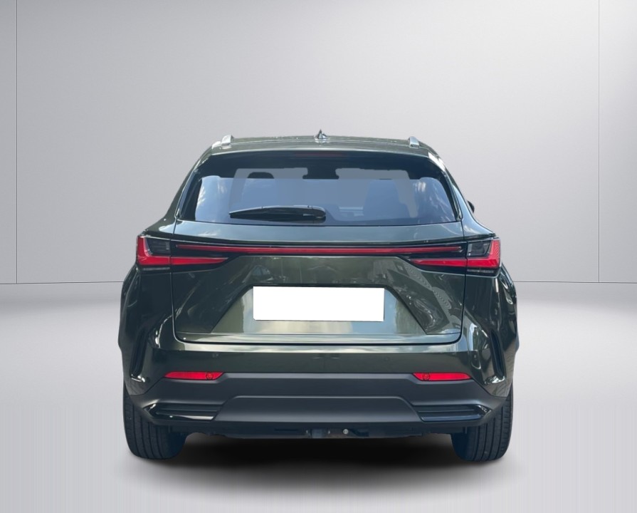 Lexus Seria NX 450h+ AWD Executive Line (4)