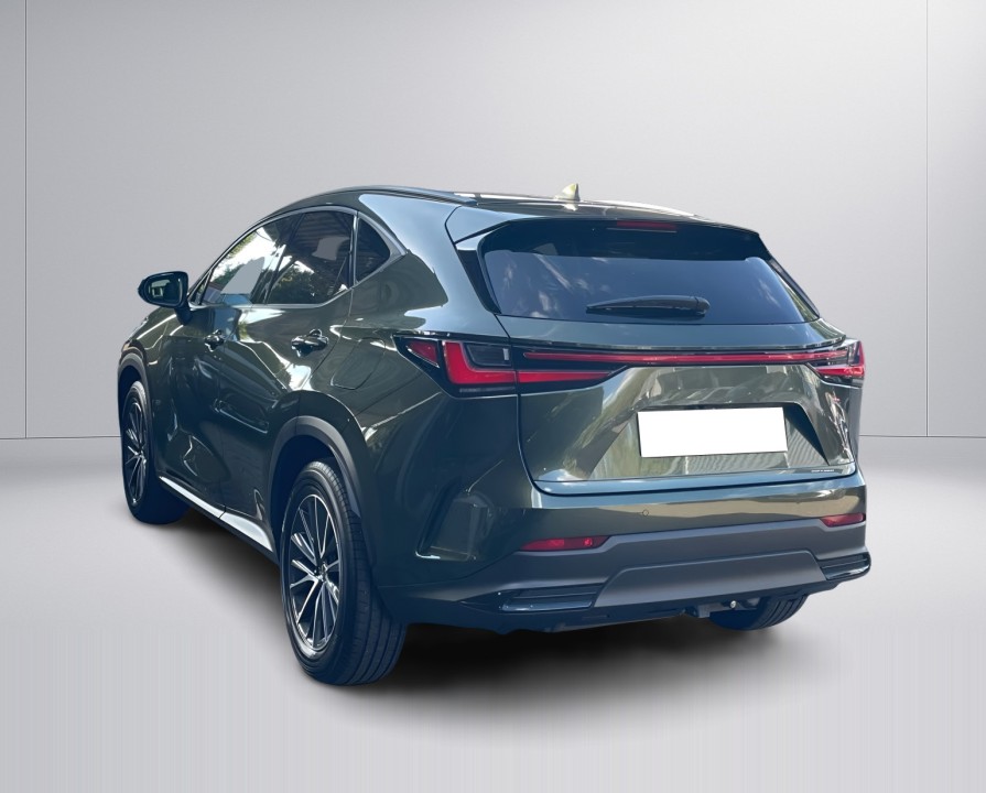 Lexus Seria NX 450h+ AWD Executive Line (5)