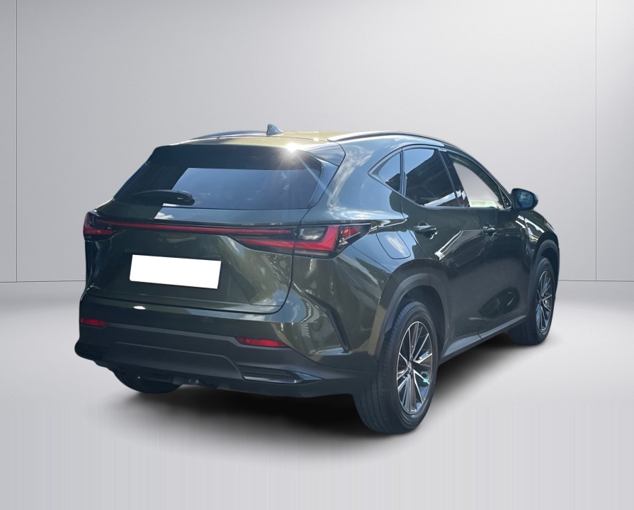 Lexus Seria NX 450h+ AWD Executive Line (3)
