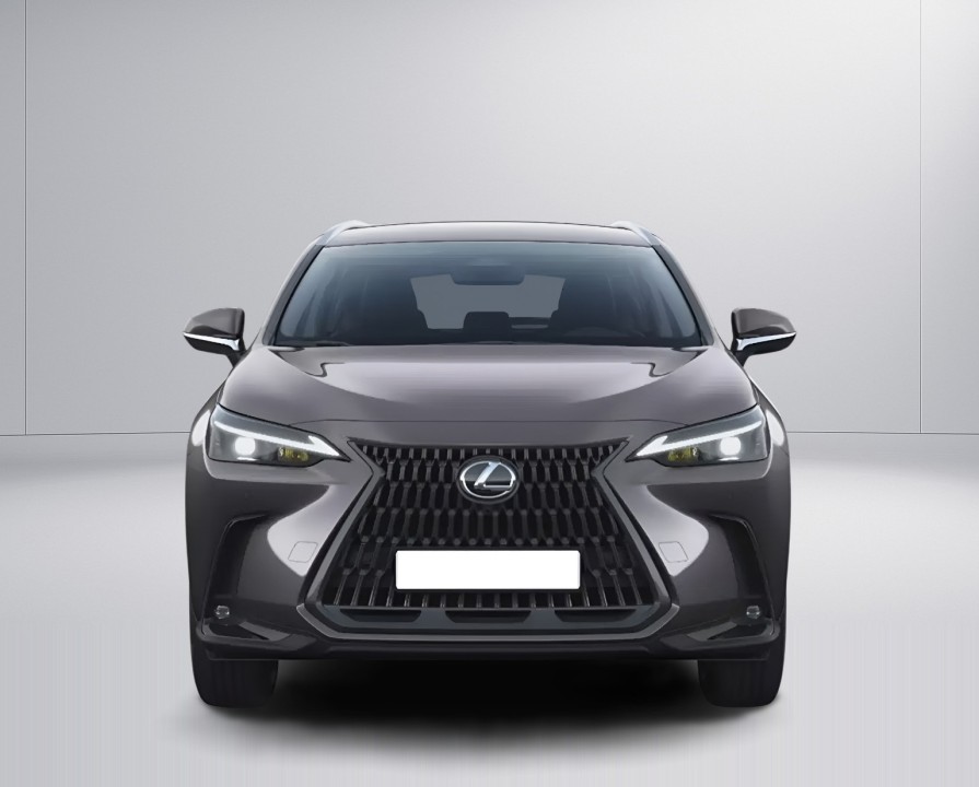 Lexus Seria NX 450h+ AWD Business Line (2)