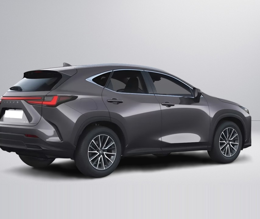 Lexus Seria NX 450h+ AWD Business Line (3)