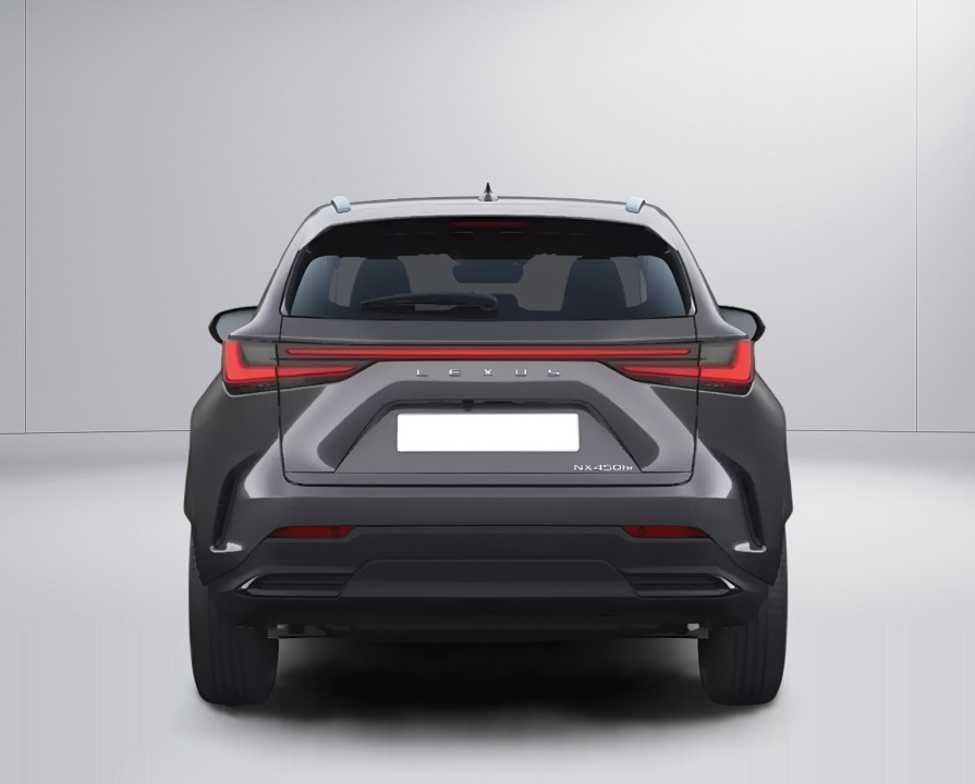 Lexus Seria NX 450h+ AWD Business Line (4)