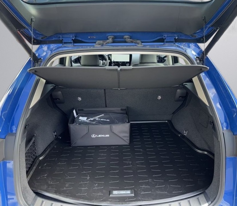 Lexus Seria NX 350h AWD Business Line - foto 16