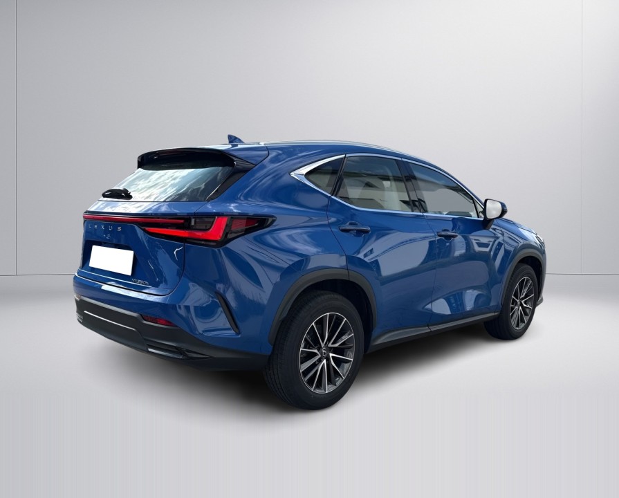 Lexus Seria NX 350h AWD Business Line (2)