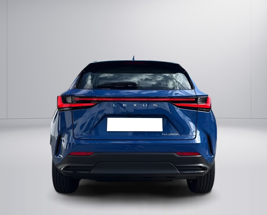Lexus Seria NX 350h AWD Business Line (3)