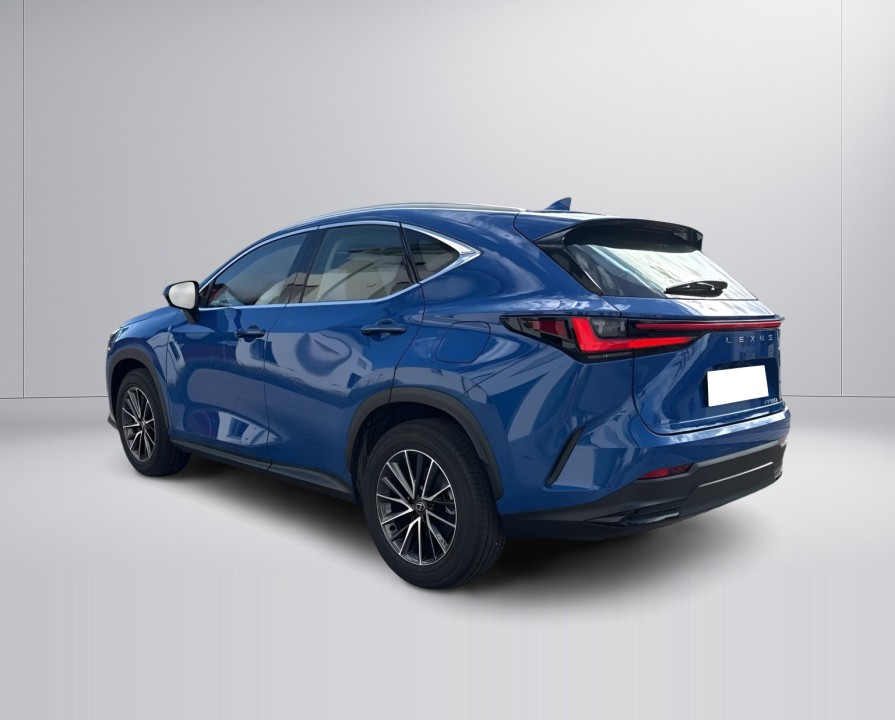 Lexus Seria NX 350h AWD Business Line (4)