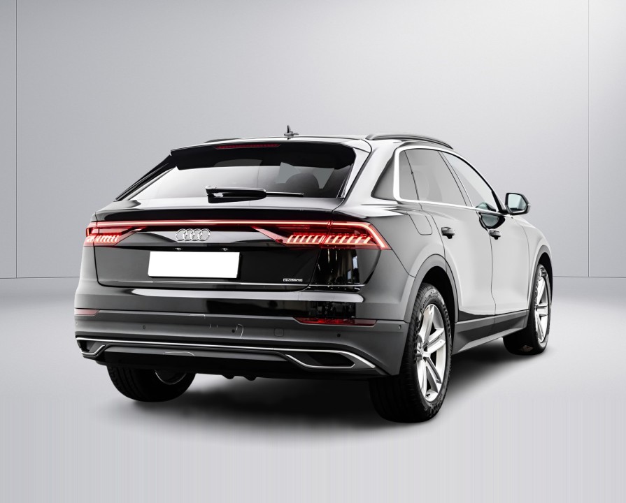Audi Q8 55TFSI quattro (4)