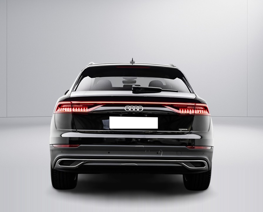 Audi Q8 55TFSI quattro (5)