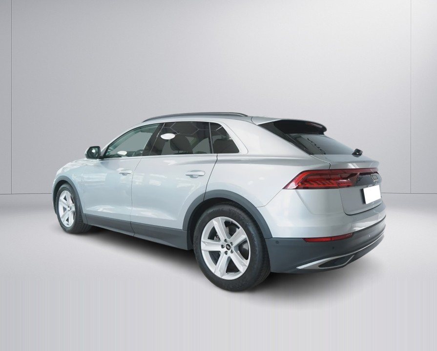 Audi Q8 55TFSI quattro (3)
