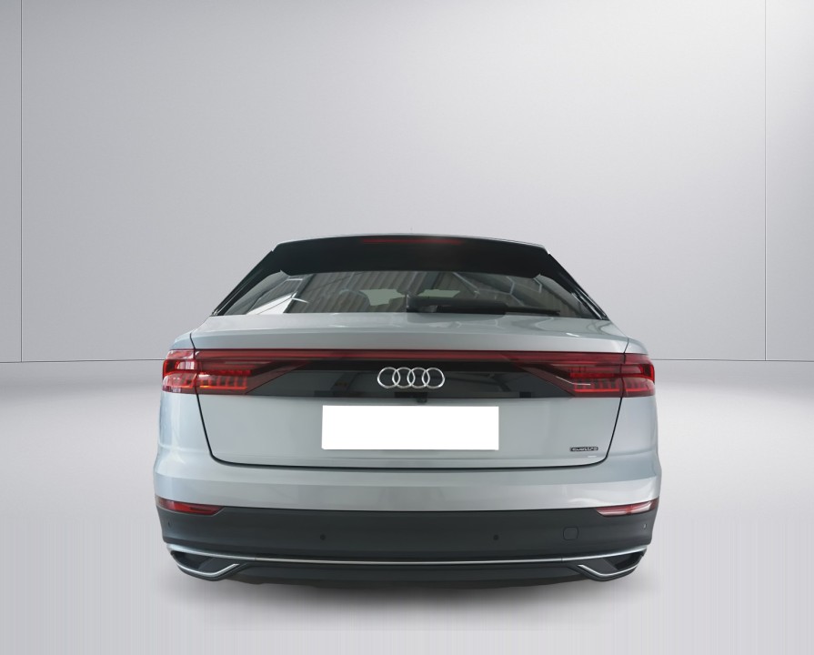 Audi Q8 55TFSI quattro (4)
