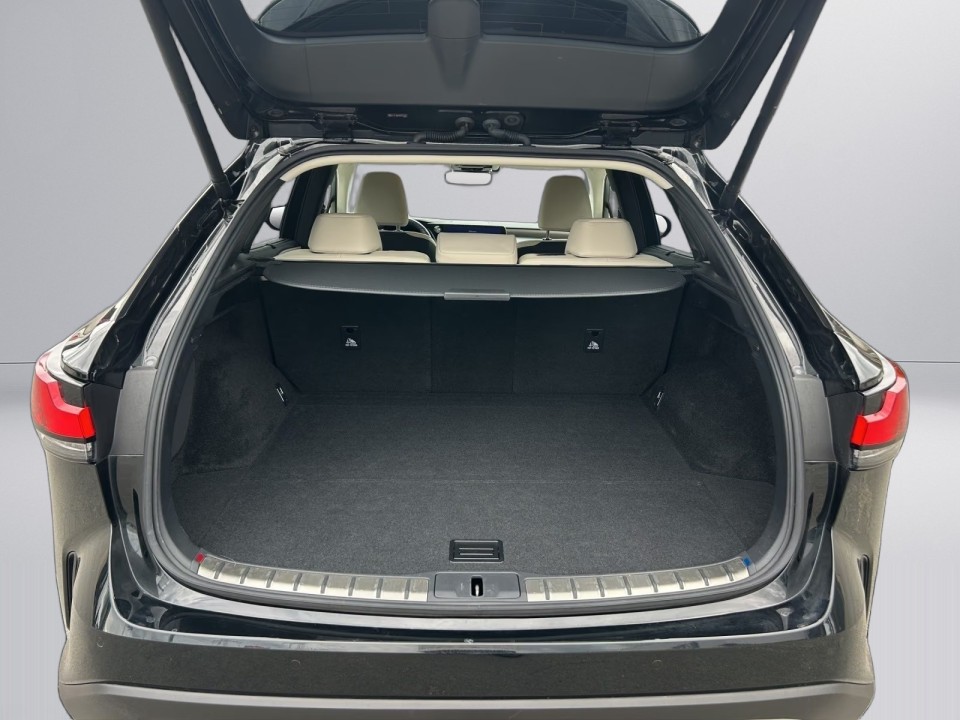 Lexus Seria RX 450h+ Luxury Line - foto 18