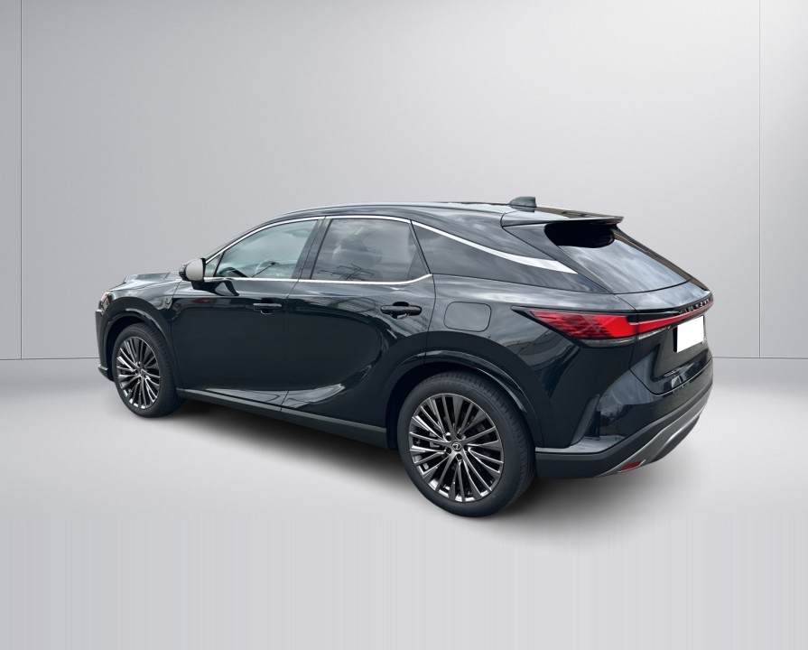 Lexus Seria RX 450h+ Luxury Line (5)