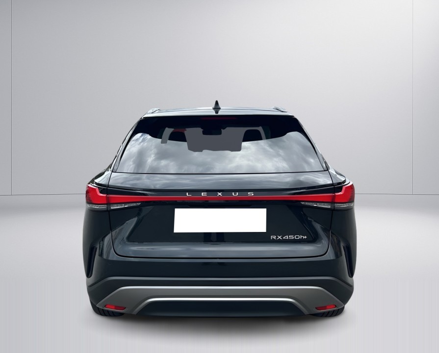 Lexus Seria RX 450h+ Luxury Line (4)