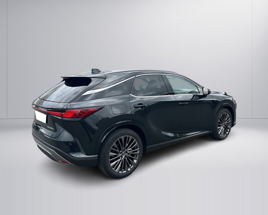 Lexus Seria RX 450h+ Luxury Line (3)