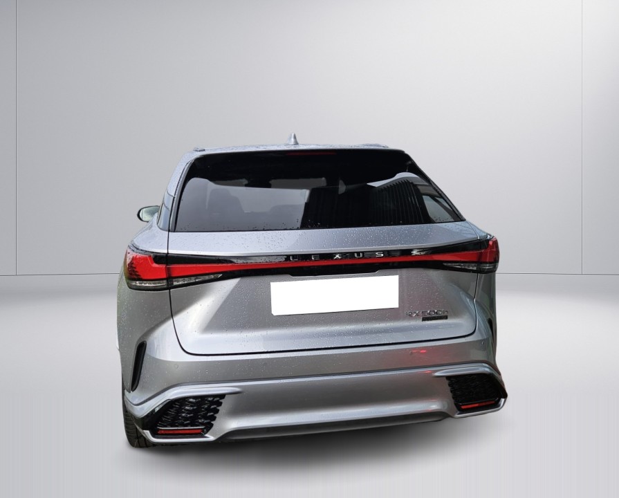 Lexus RX 500 F SPORT (5)