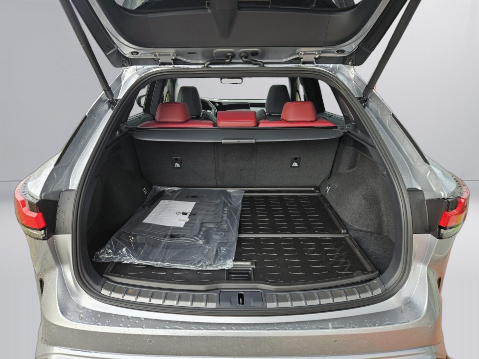 Lexus RX 500 F SPORT - foto 15
