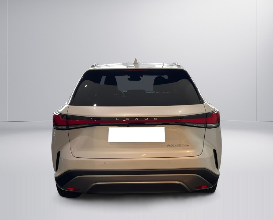 Lexus Seria RX 450h+ AWD Executive (3)