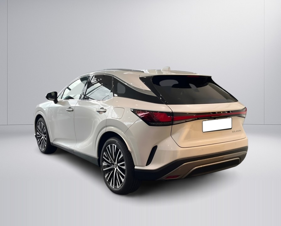 Lexus Seria RX 450h+ AWD Executive (4)