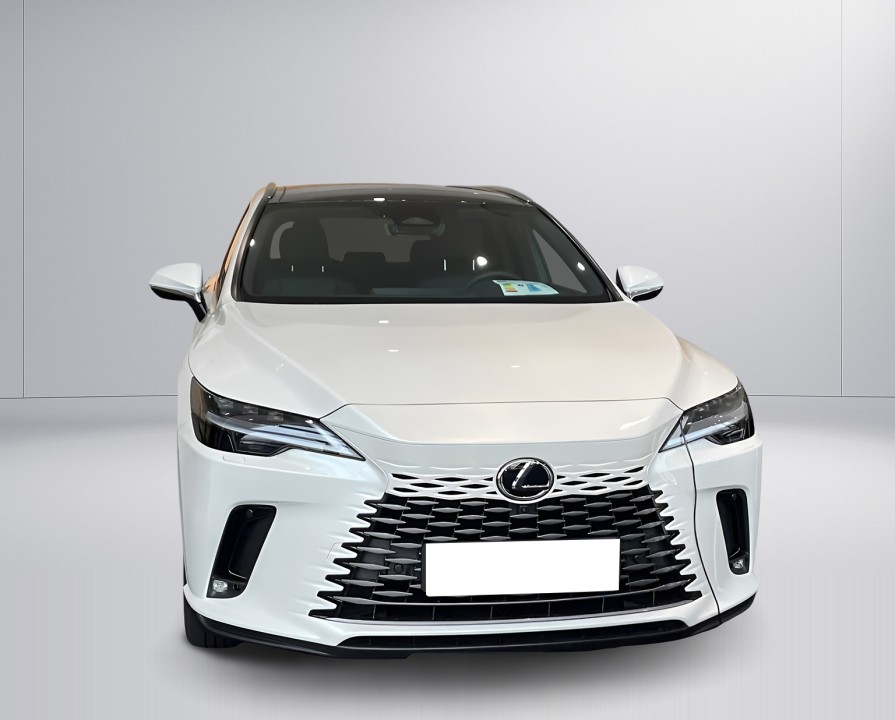 Lexus Seria RX 450h+ AWD Executive (2)