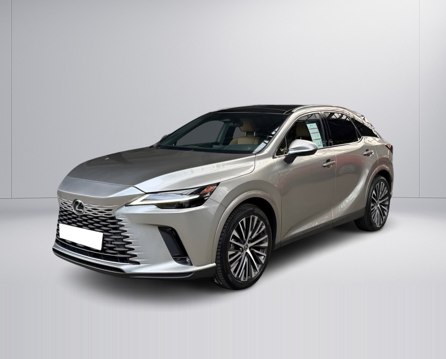 Lexus Seria RX 450h+ AWD Executive - foto 7