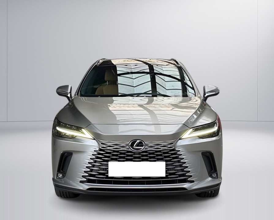 Lexus Seria RX 450h+ AWD Executive - foto 8