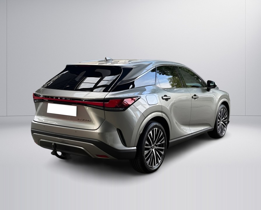 Lexus Seria RX 450h+ AWD Executive (3)