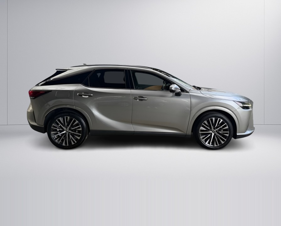 Lexus Seria RX 450h+ AWD Executive (2)