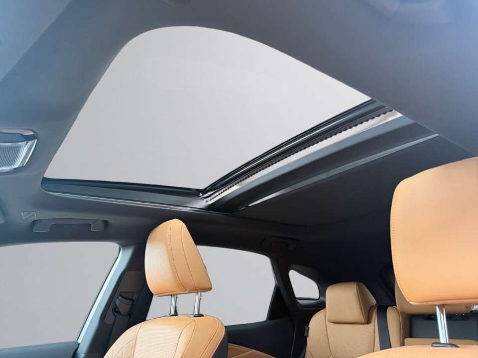 Lexus Seria RX 450h+ AWD Executive - foto 15