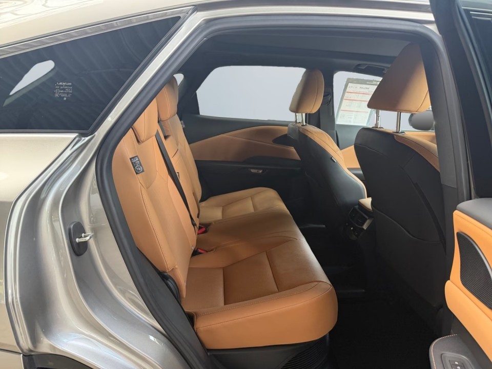 Lexus Seria RX 450h+ AWD Executive - foto 11