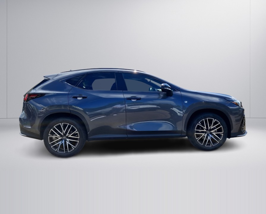 Lexus Seria NX 350h AWD F-Sport (2)
