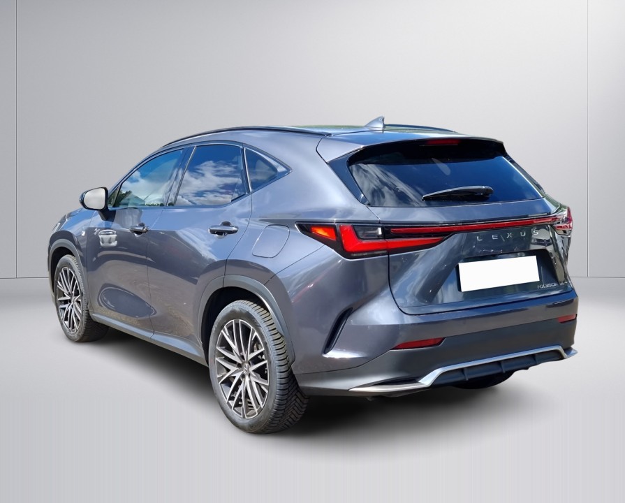 Lexus Seria NX 350h AWD F-Sport (5)