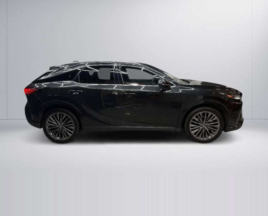 Lexus RX 450h+ Luxury (2)